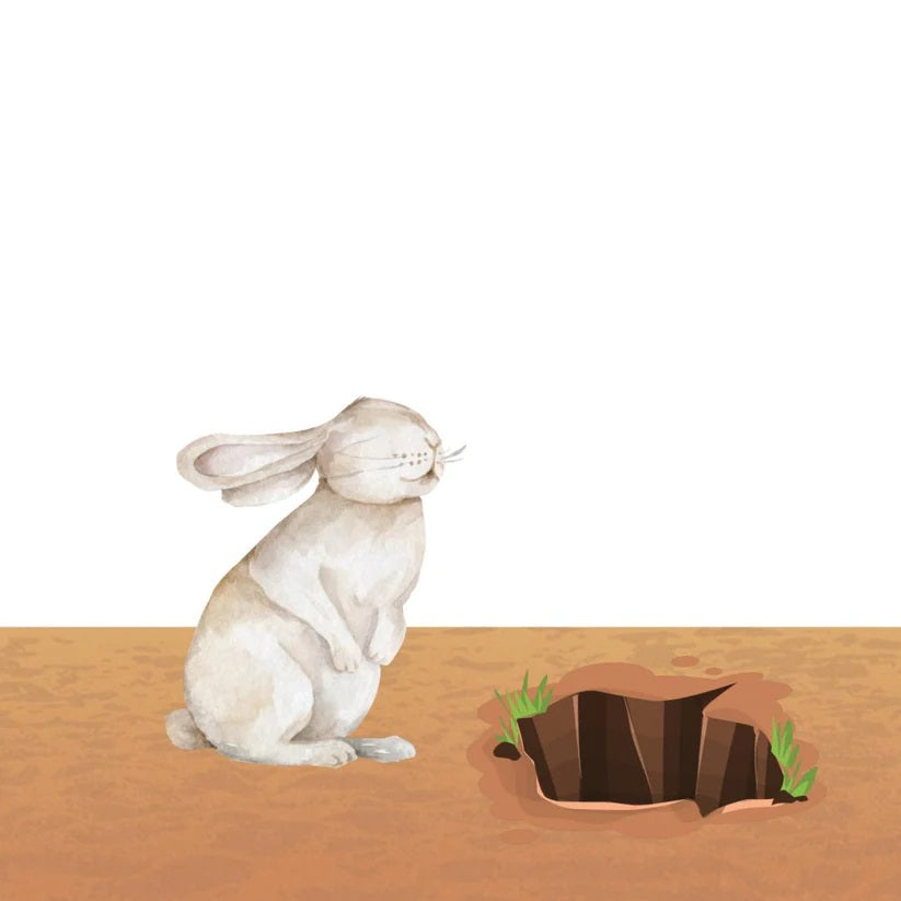 Animal Colours - Bilingual (In English and Arabic)