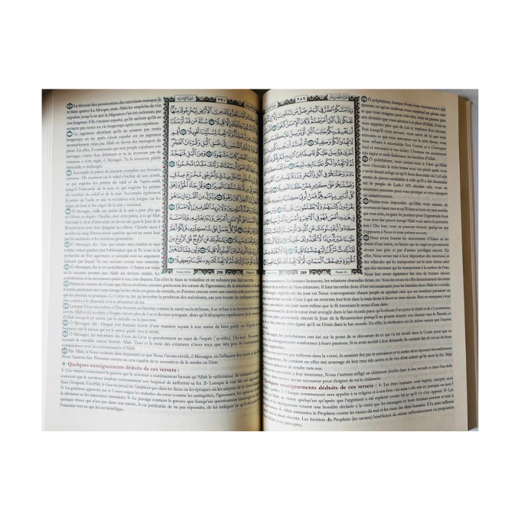 Al Mukhtasar Fi Tafseer in French | المختصر في تفسير القران الكريم (الفرنسية)