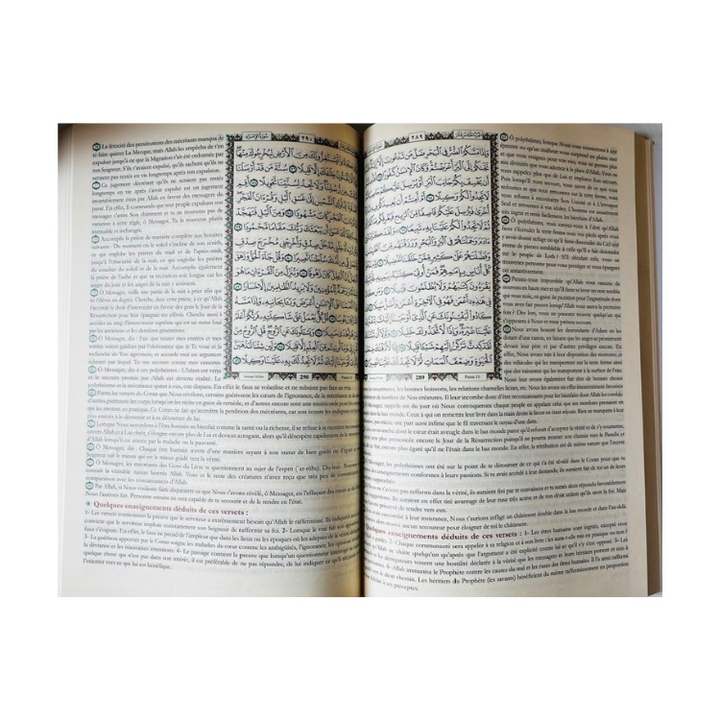 Al Mukhtasar Fi Tafseer in French | المختصر في تفسير القران الكريم (الفرنسية)