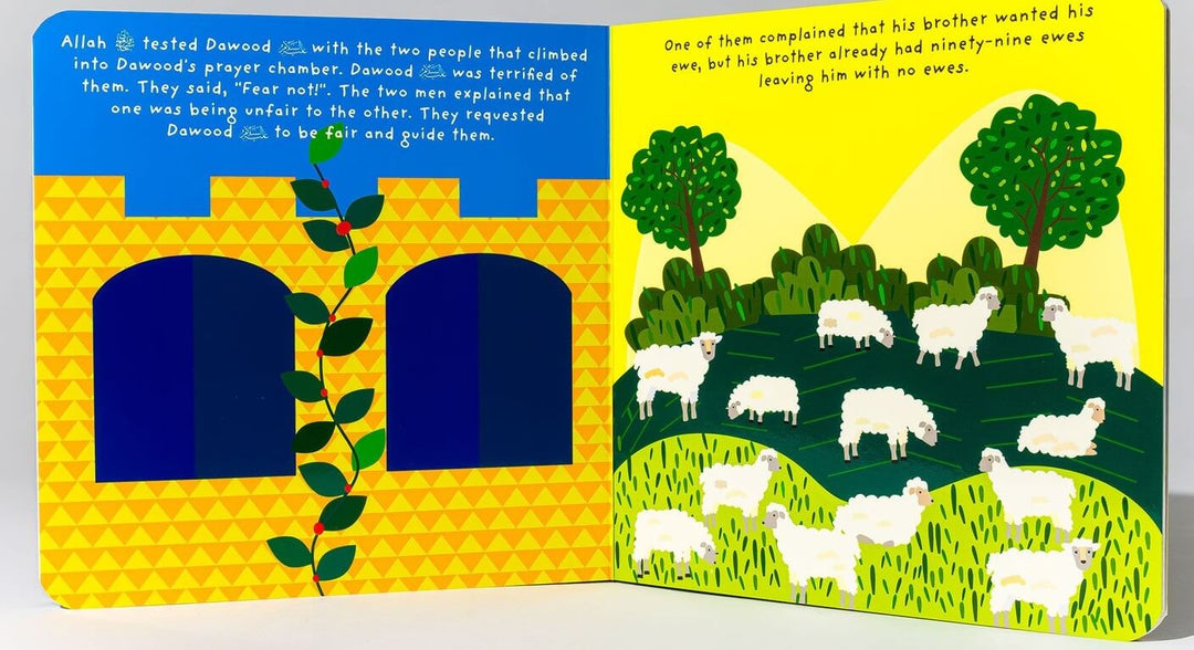 Prophet Dawood board book (Tummy Time Series)