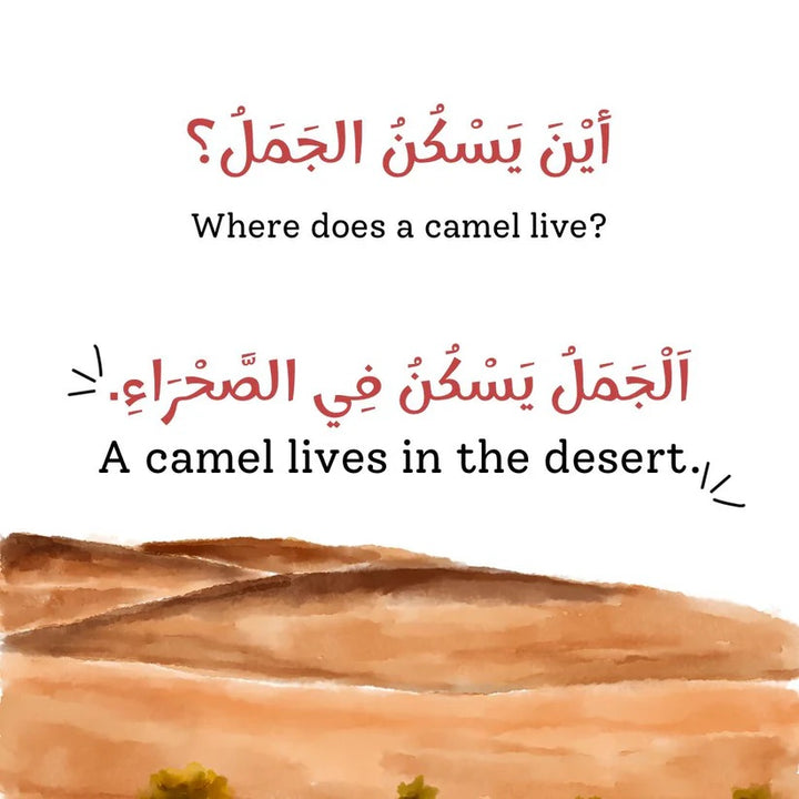 Animal Homes - Bilingual (In English and Arabic)