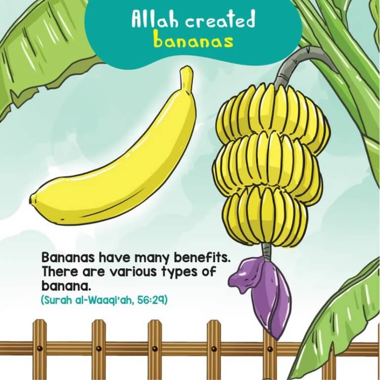 Food in the Quran Board Book - Quran Stories For Kids