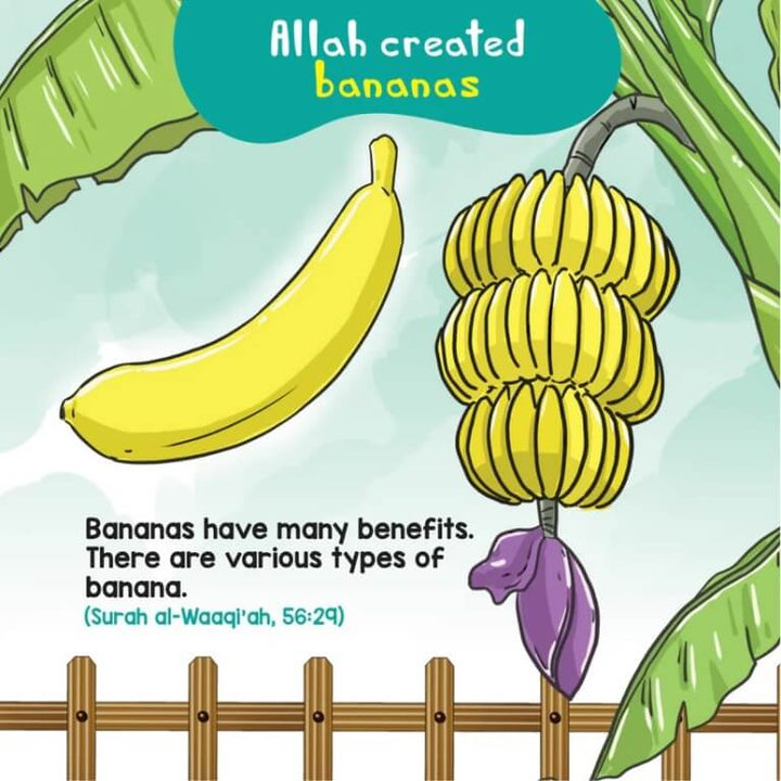 Food in the Quran Board Book - Quran Stories For Kids
