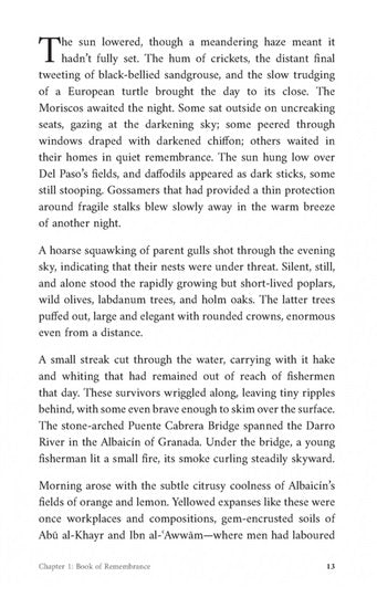 Shadows of Strangers | Dr Osman Latif