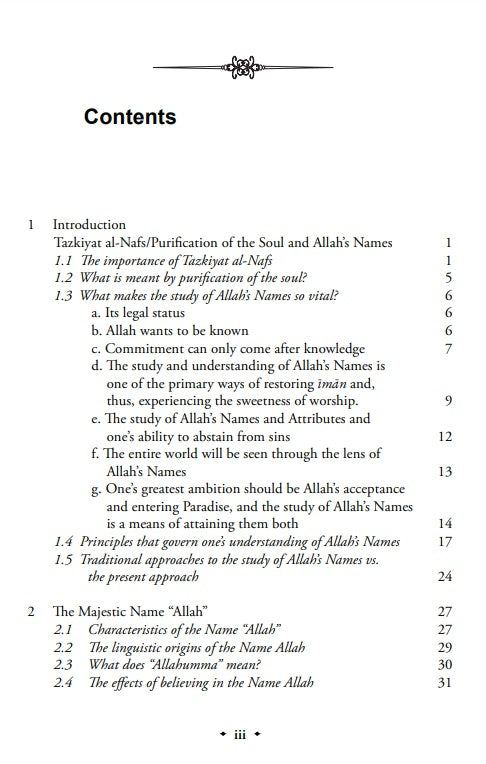 A Life with the Divine: 25 Names of Allah and their everyday expressions in Life by (author) Ali Hammuda
