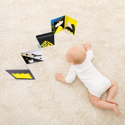 Prophet Ibraheem and Prophet Ismaeel - The Sacrifice board book  (Tummy Time Series)