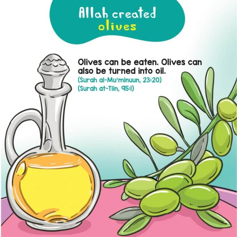 Food in the Quran Board Book - Quran Stories For Kids