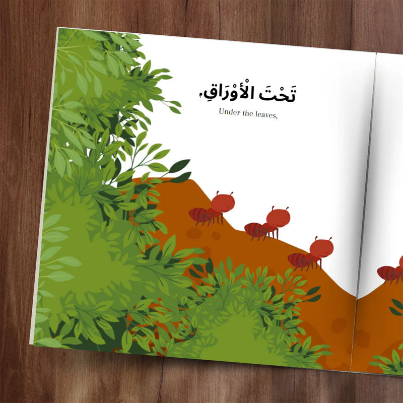 In the Forest - Early Arabic Readers Children's Book