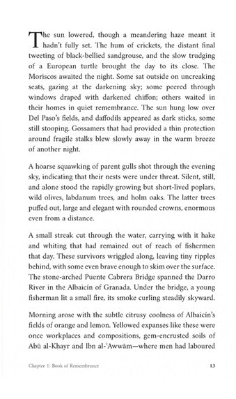 Shadows of Strangers | Dr Osman Latif