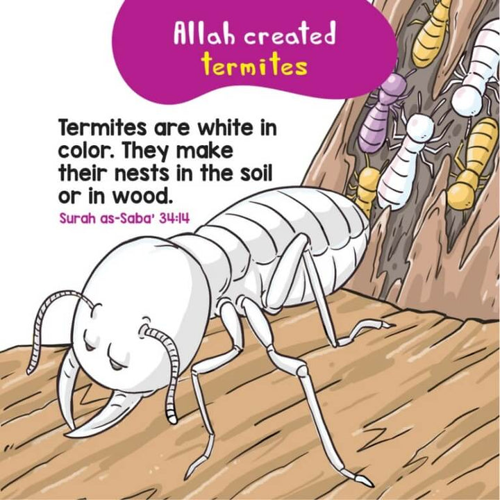 Birds And Insects In The Quran Quran Board Book - Quran Stories For Kids