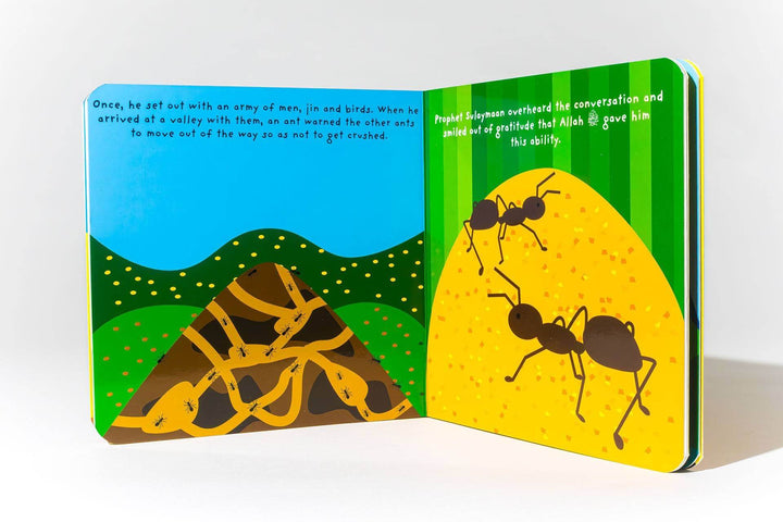 Prophet Sulayman board book (Tummy Time Series)