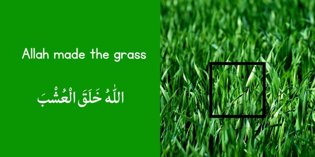 Allah Made the World Around Me – Bilingual Arabic-English Touch & Feel Book for Young Muslims inside pages flowers of jannah