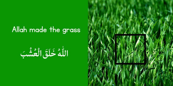 Allah Made the World Around Me – Bilingual Arabic-English Touch & Feel Book for Young Muslims inside pages flowers of jannah