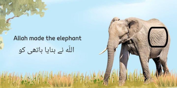 Allah made the animals (A bilingual Urdu and English touch and feel book) inside pages 2