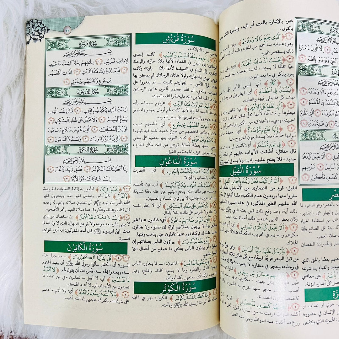 An Explanation Of The Last Tenth Of The Noble Quran (Arabic Only) - تفسير العشر الأخير من القرآن الكريم