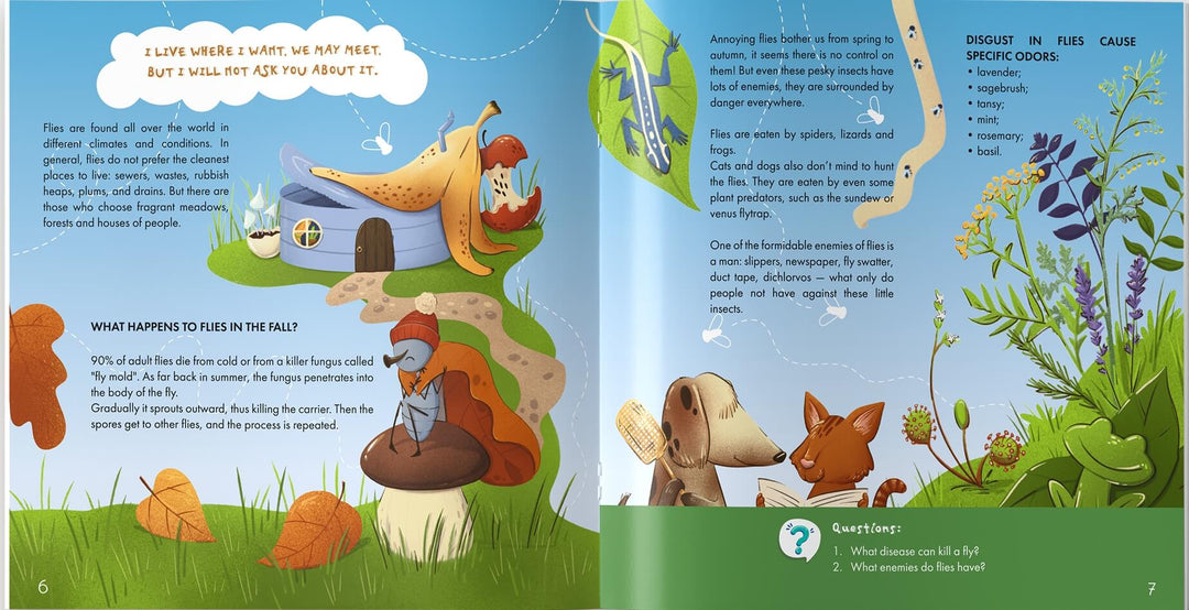 The Fly is Allah's Amazing Creation