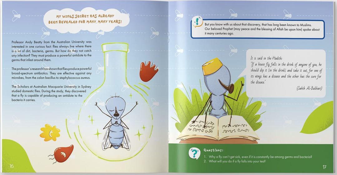 The Fly is Allah's Amazing Creation