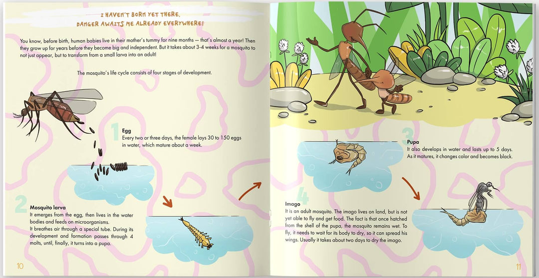 The Mosquito is Allah's Amazing Creation