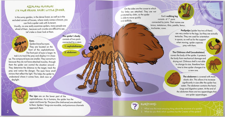 The Spider is Allah's Amazing Creation