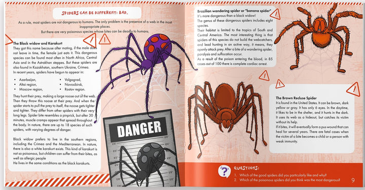 The Spider is Allah's Amazing Creation