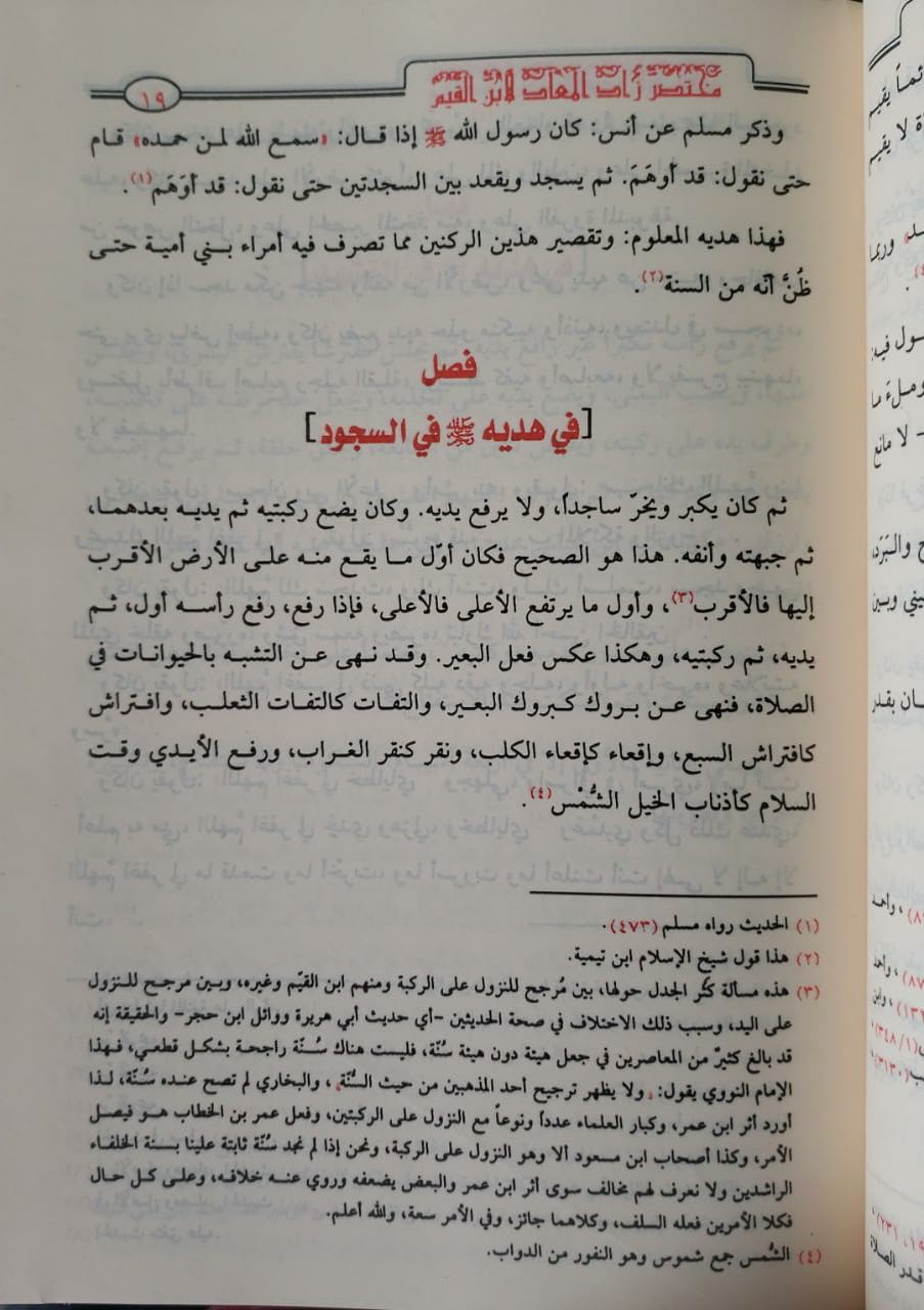 مختصر زاد المعاد (مجلد) شاموا (طبعة مصرية)