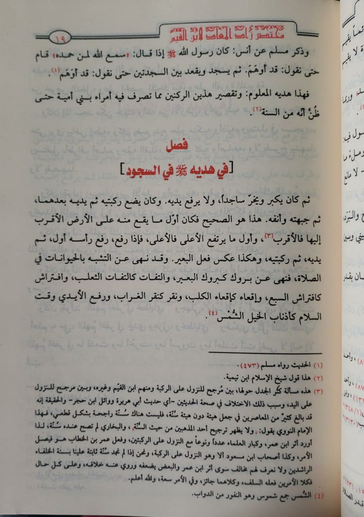 مختصر زاد المعاد (مجلد) شاموا (طبعة مصرية)