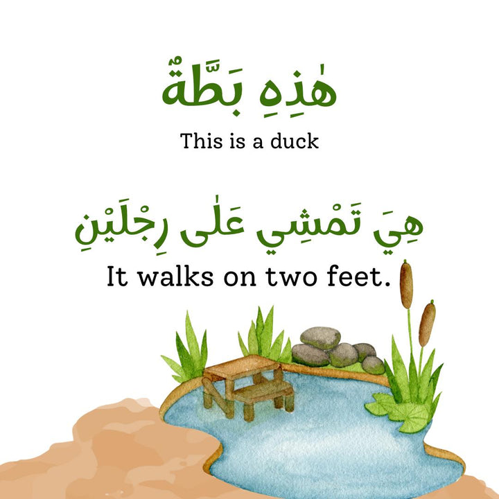 How Do Animals Walk? - Bilingual (In English and Arabic)