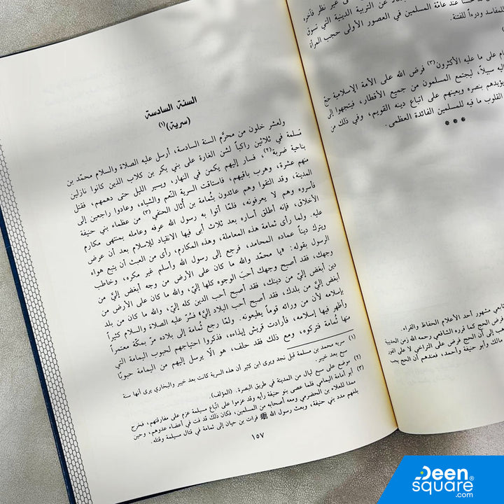 نور اليقين في سيرة سيد المرسلين | محمد الخضري بك | ط. دار الفيحاء
