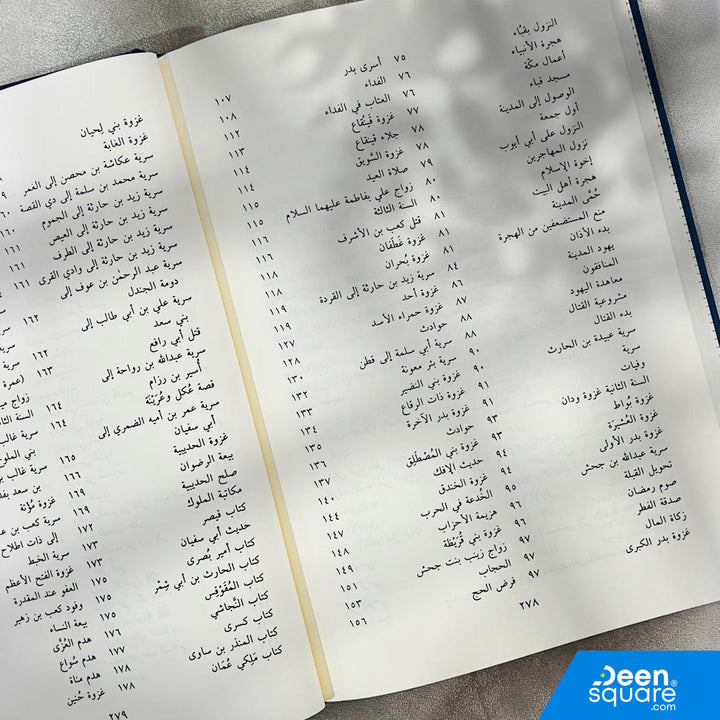 نور اليقين في سيرة سيد المرسلين | محمد الخضري بك | ط. دار الفيحاء