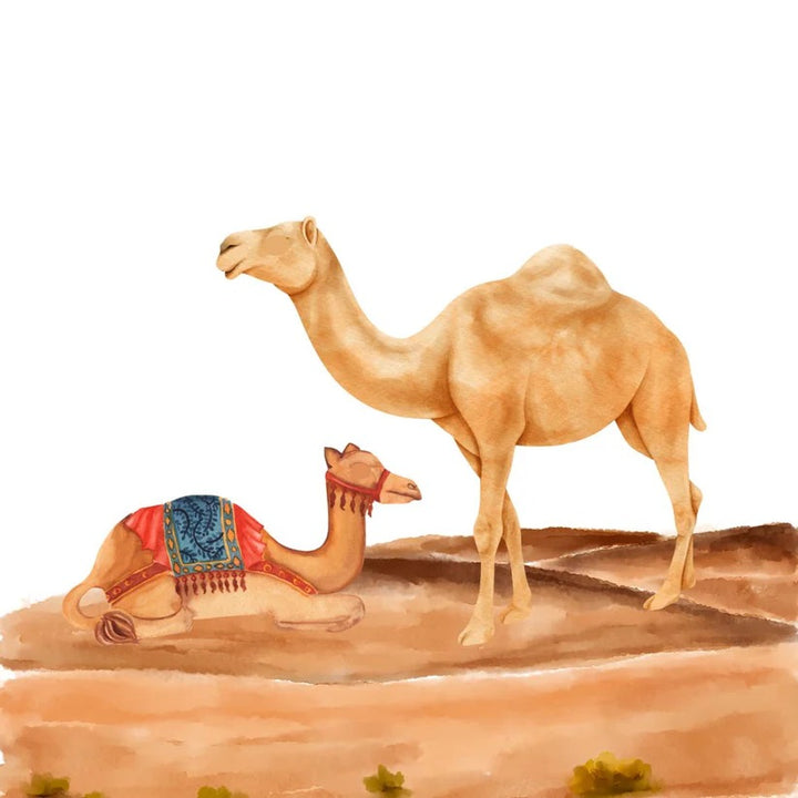 Animal Homes - Bilingual (In English and Arabic)