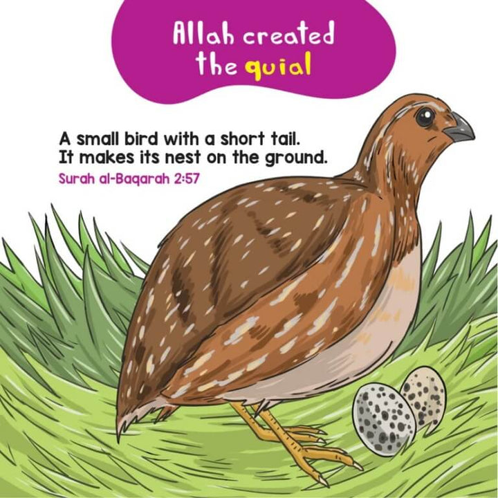 Birds And Insects In The Quran Quran Board Book - Quran Stories For Kids