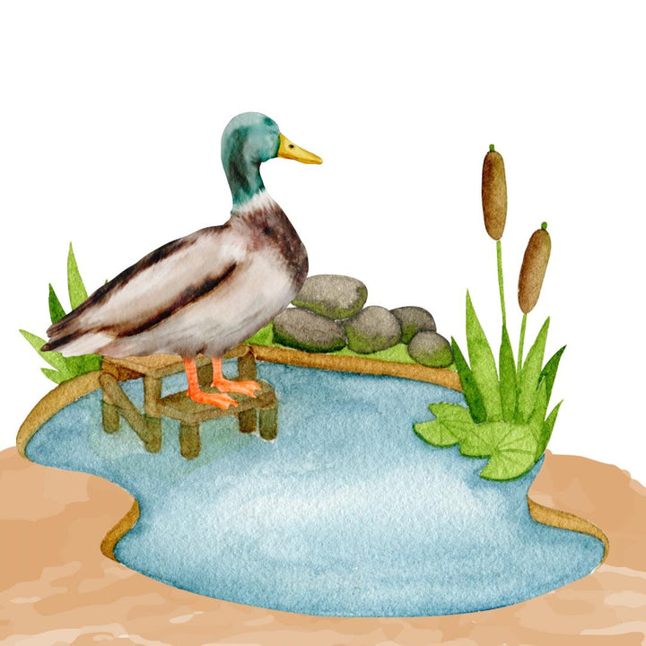 How Do Animals Walk? - Bilingual (In English and Arabic)