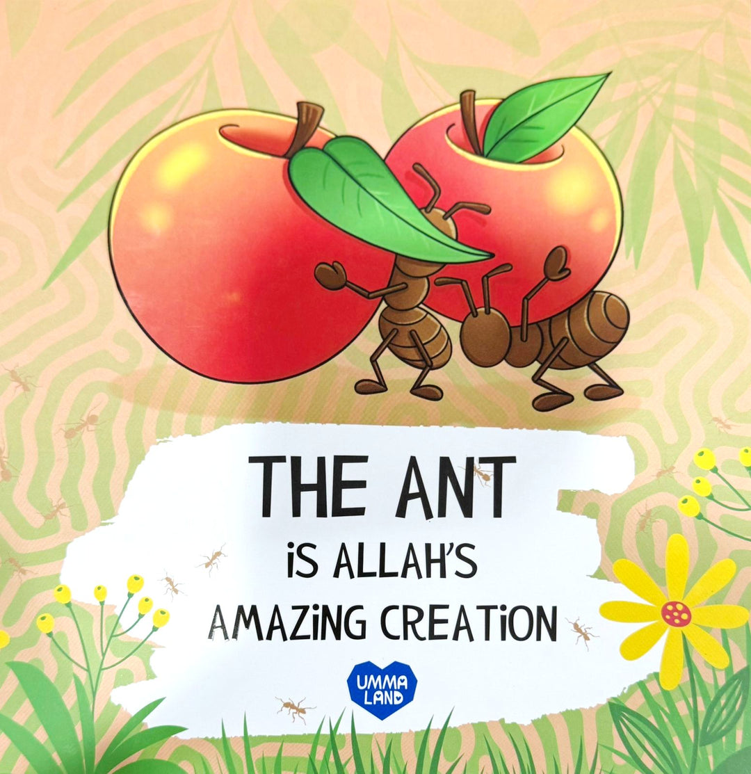 The Ant is Allah's Amazing Creation