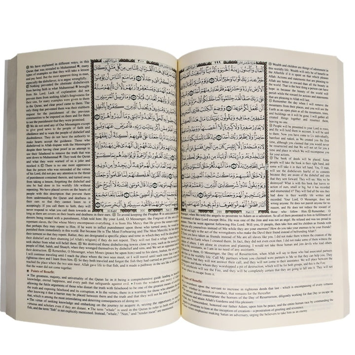 Al Mukhtasar Fi Tafseer in English | المختصر في تفسير القران الكريم (الأنجليزية)