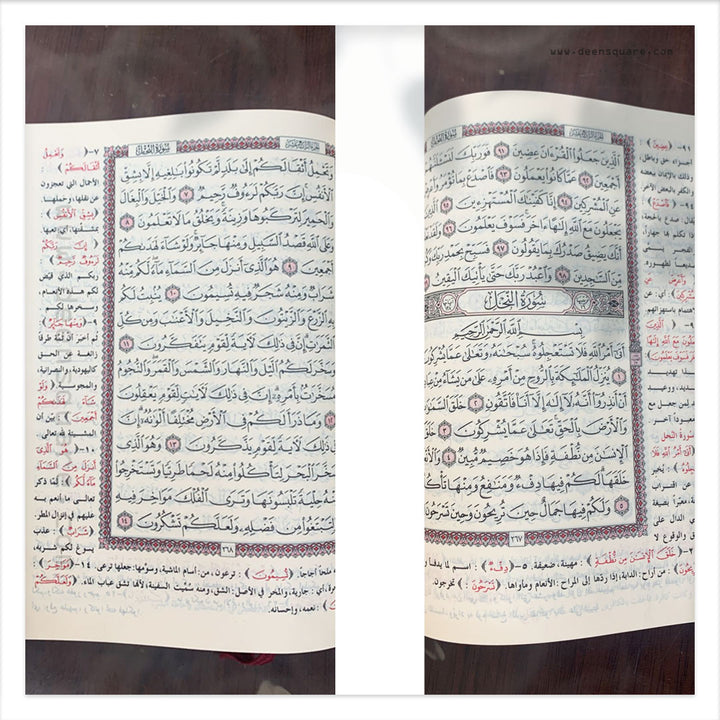 القران الكريم مع مختصر تفسير ابن كثير - Quran with Mukhtasar Tafsir Ibn kathir