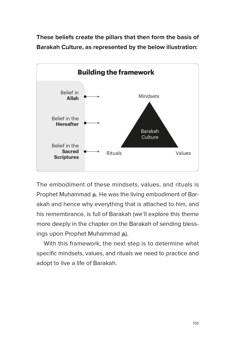 The Barakah Effect: More with Less by Mohammed Faris