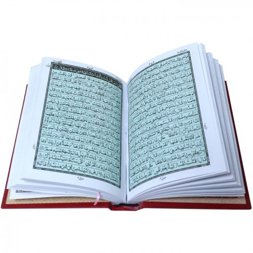 Quran - Indo Pak Script - 16 lines - Ref 16/16