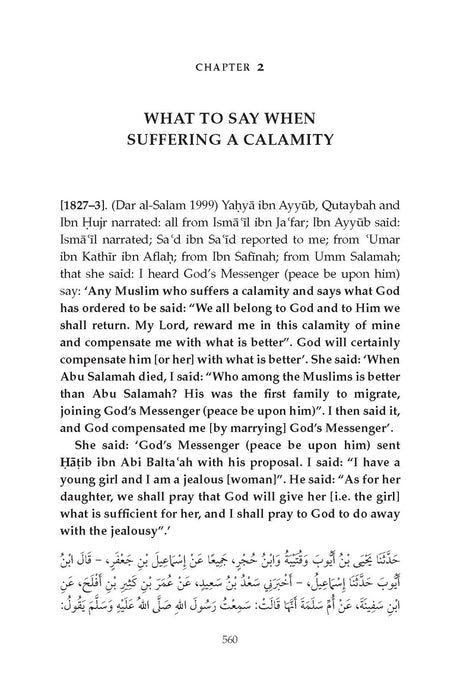 Sahih Muslim With The Full Commentary By Imam Nawawi - Vol 1-11
