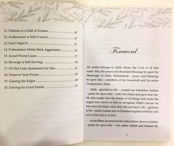 Are You Hurt? 20 Formulas for a Forbearing Heart by Ibn Taimiyyah