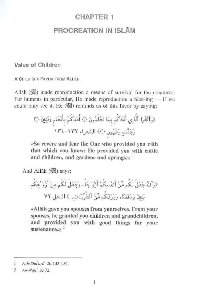 Birth Prevention an Islamic Perspective