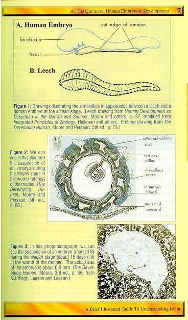 A Brief Illustrated Guide to Understanding Islam