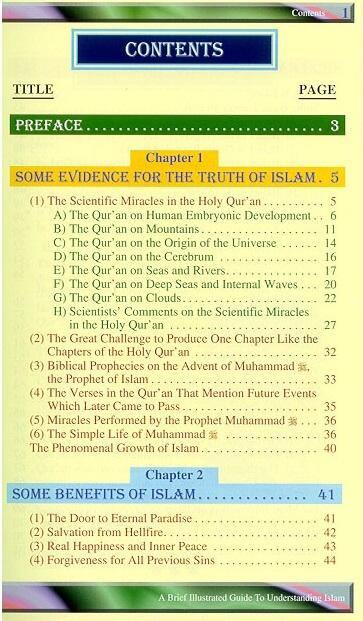 A Brief Illustrated Guide to Understanding Islam