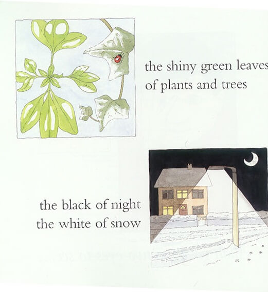 Allah Gave Me Two Eyes to See