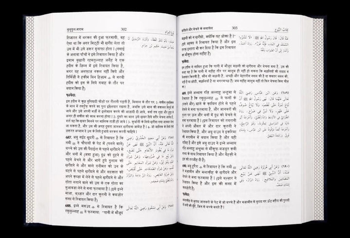 Bulugul Maraam - Hindi