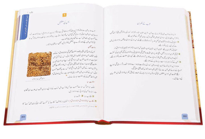 Urdu: Seerat Encyclopedia - 11 Volumes