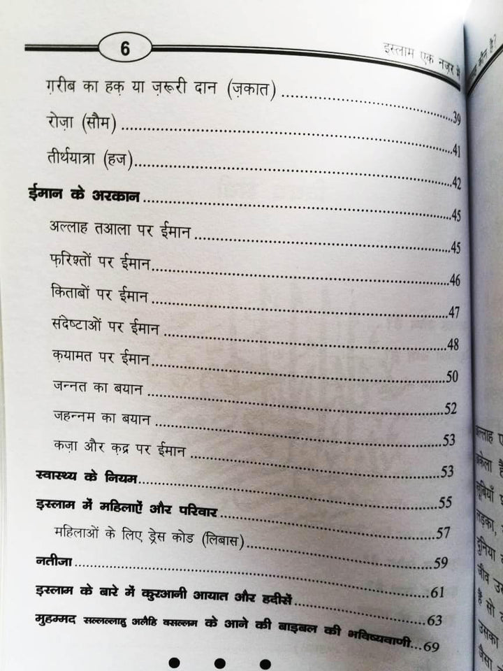 Hindi: A Brief Look Upon Islam (Islam Ek Nazar Main)