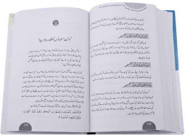 Islam Per 40 Etaraazaat Kay Aqli Wa Naqli Jawaab : Urdu