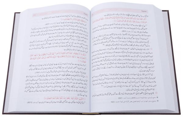 Urdu: Qisas ul Ambiya
