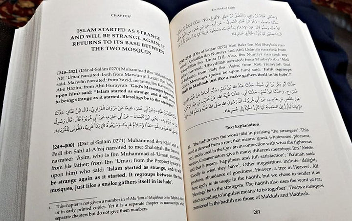 Sahih Muslim With The Full Commentary By Imam Nawawi - Vol 1-11
