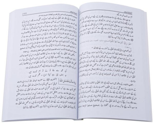 Sharah Arbaeen e Nawawi (Commentary on the 40 Ahadith of Imam Nawawi) : Urdu